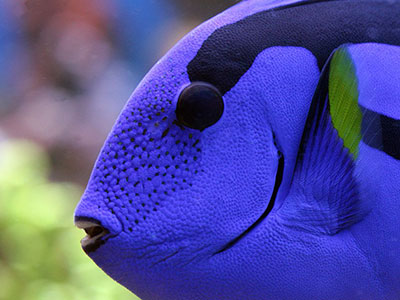 description_image01-1