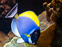 description_image02-1